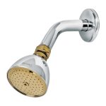 Regadera conica 2-1/2',metalica, brazo y chapeton, cromo-oro